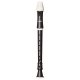 Primary 6 Recorder Music