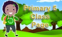 Primary 5