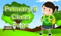 Primary 6