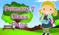 Primary 7