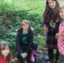 Bulb Planting