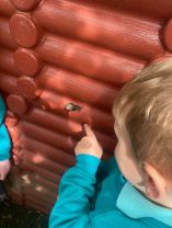 Nursery Fun in the April Sun - AM Class