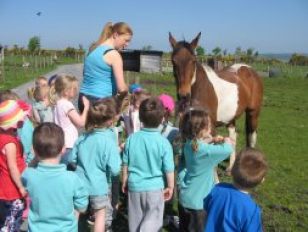 Nursery Farm Trip.