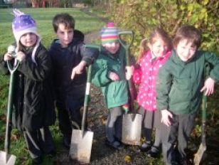 P2 Hedge Planting with Derry City Council