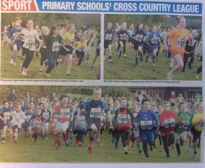 Cross Country Running Team in Action 